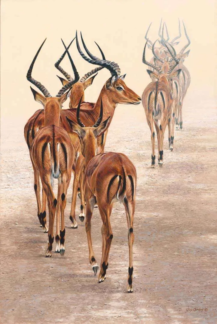 Sunday Audio Service – Trinity 1 – Morning Worship – 22/6/25